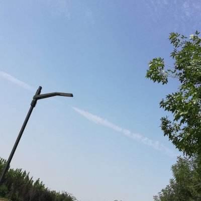 全民萌宠消消乐赚钱下载